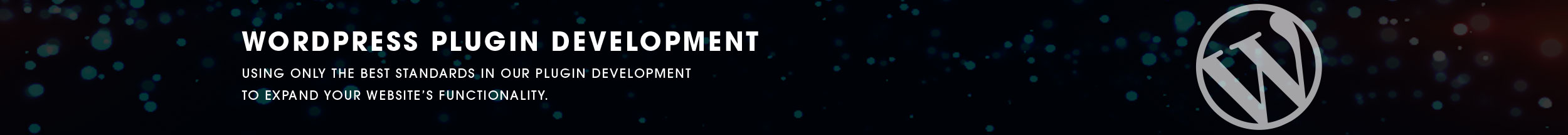 Wordpress Plugin Banner v2 min